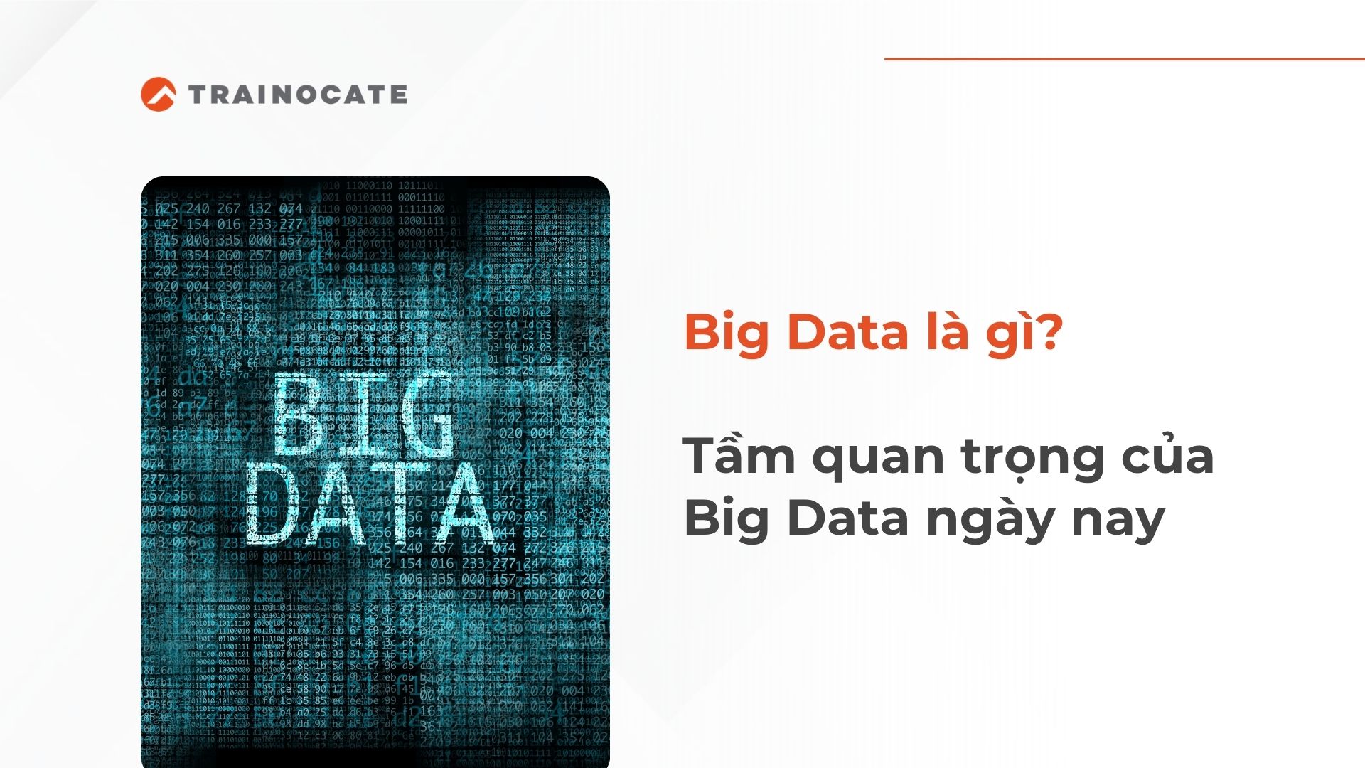 Big Data là gì? Tầm quan trọng của Big Data?