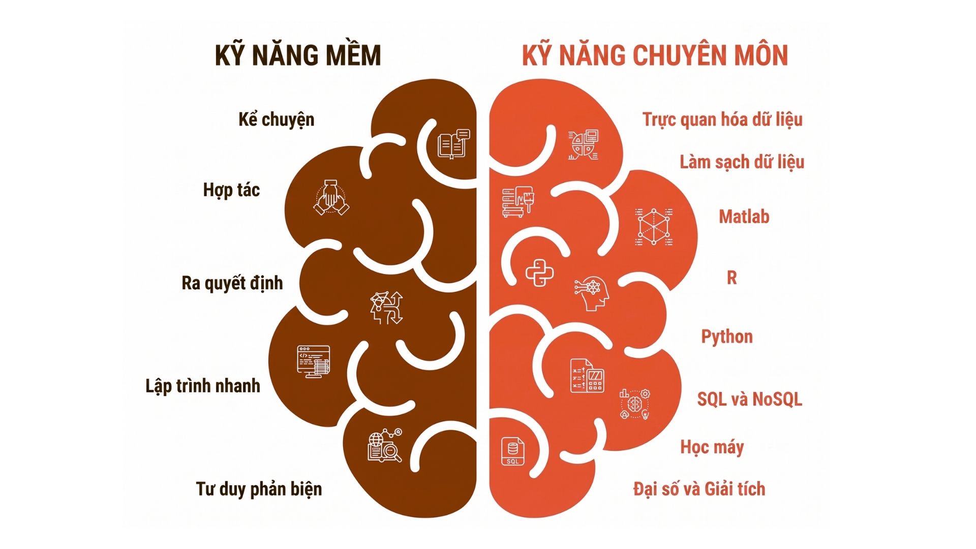 Data Science là gì? Tất tần tật từ A–Z cho người mới