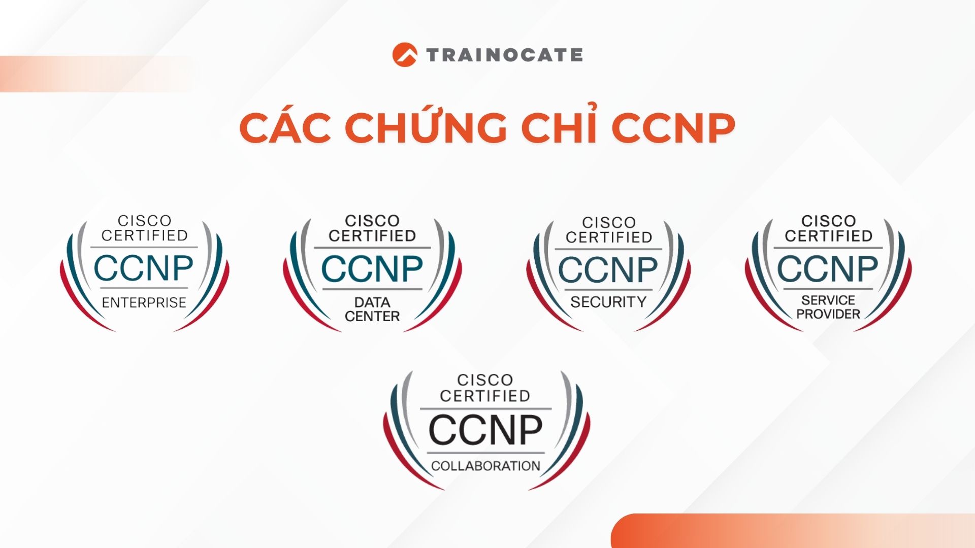 CCNP là gì? Sự khác biệt giữa chứng chỉ CCNP và CCNA