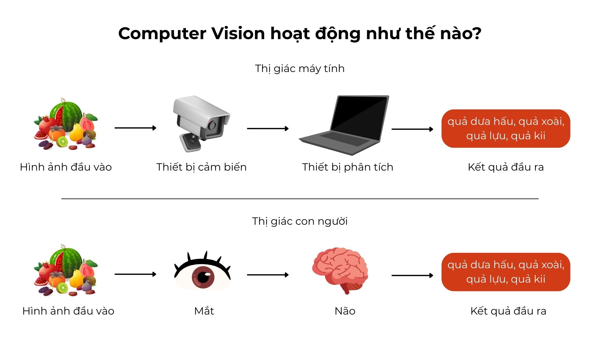 Computer Vision là gì? Tìm hiểu về thị giác máy tính